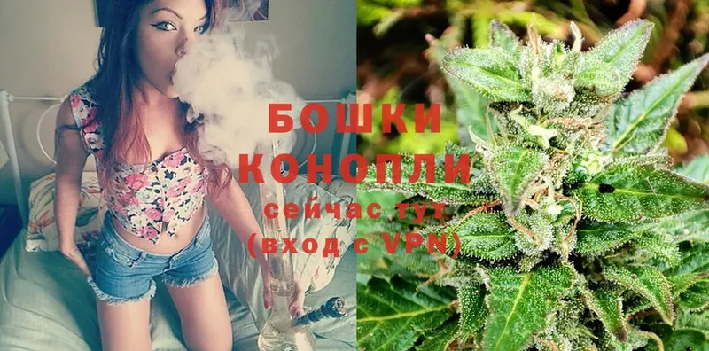 hydra как войти  Вятские Поляны  Шишки марихуана Ganja  продажа наркотиков 